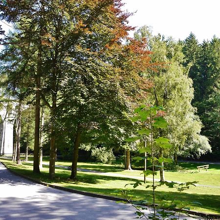 Appartement Happynest*** Mit Hallenbad Willingen  Εξωτερικό φωτογραφία