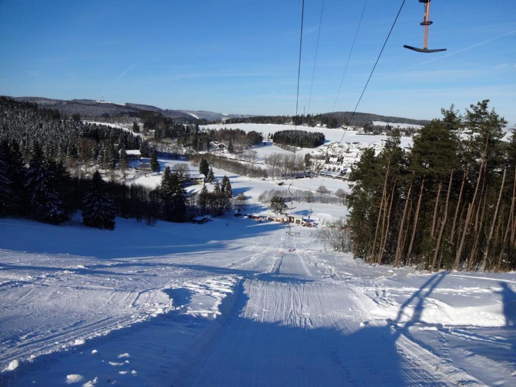 Appartement Happynest*** Mit Hallenbad Willingen  Εξωτερικό φωτογραφία