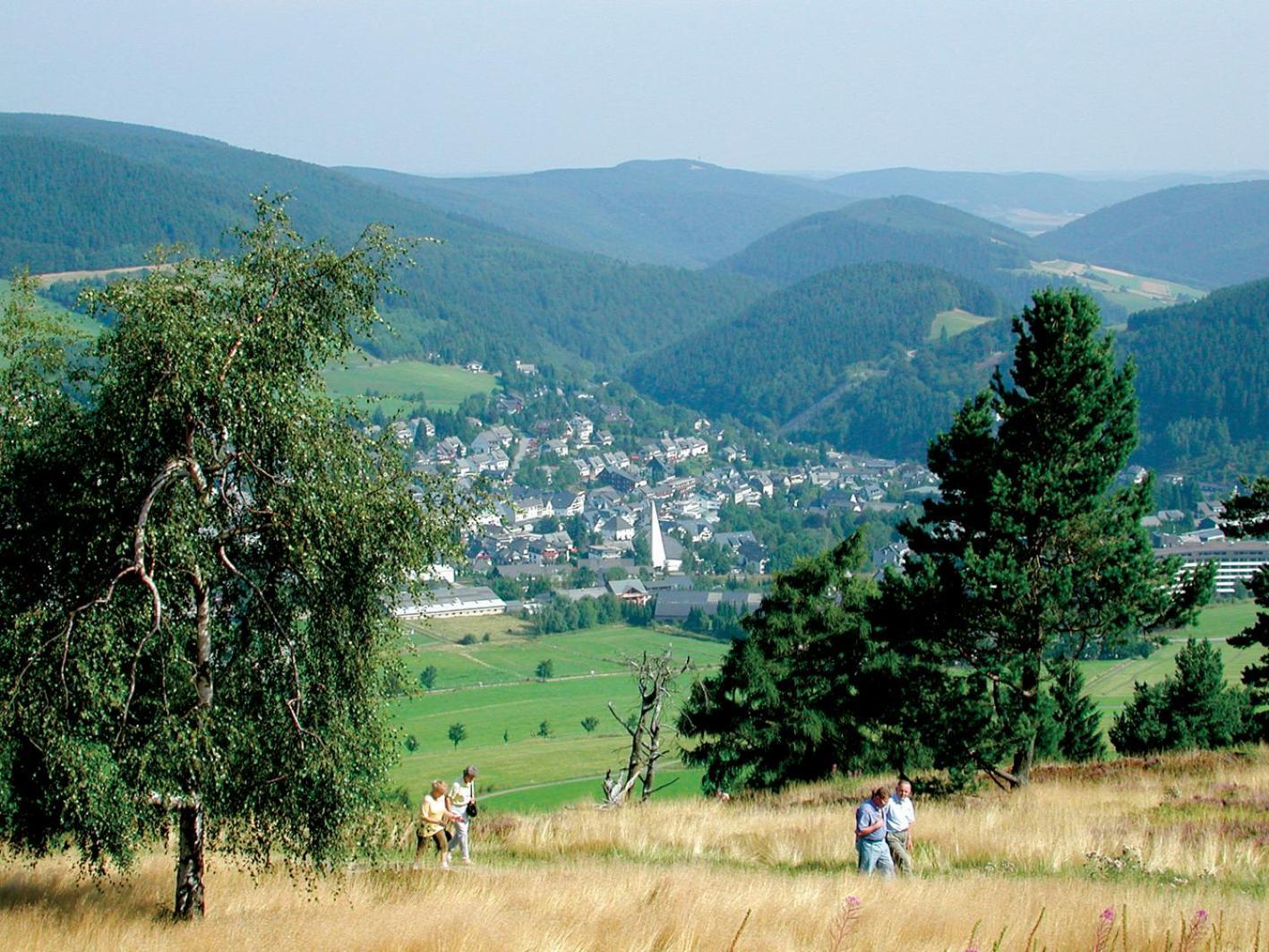 Appartement Happynest*** Mit Hallenbad Willingen  Εξωτερικό φωτογραφία