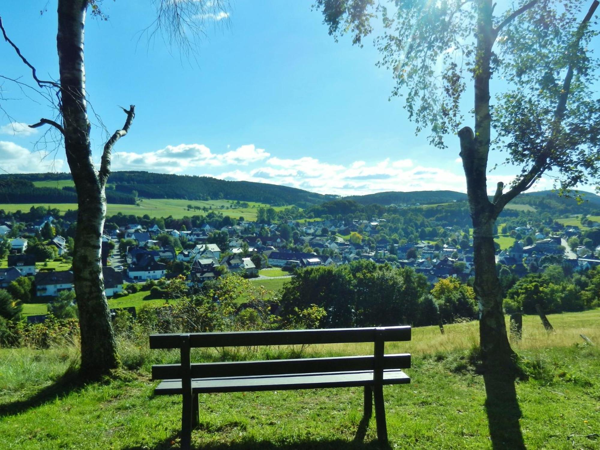 Appartement Happynest*** Mit Hallenbad Willingen  Εξωτερικό φωτογραφία
