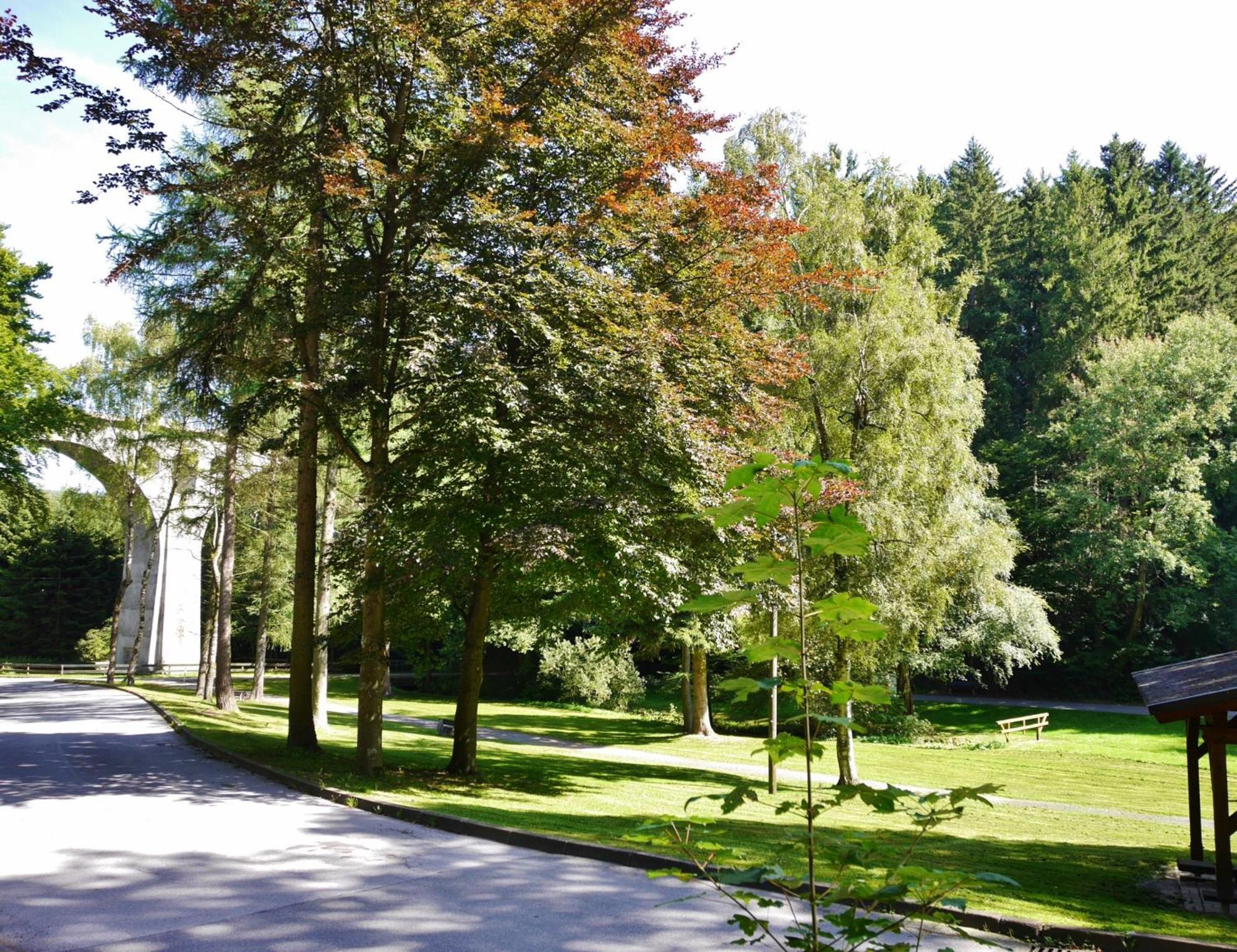 Appartement Happynest*** Mit Hallenbad Willingen  Εξωτερικό φωτογραφία